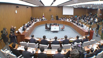 국회 정무위, '김 여사 주가조작 의혹' 공방..."공상소설" "권력형 카르텔" / YTN
