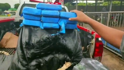 b'150 kg de oxi so apreendidos no interior do estado'