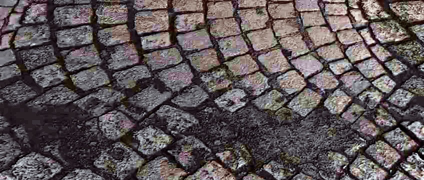 Zift - 2008 - tsyal film