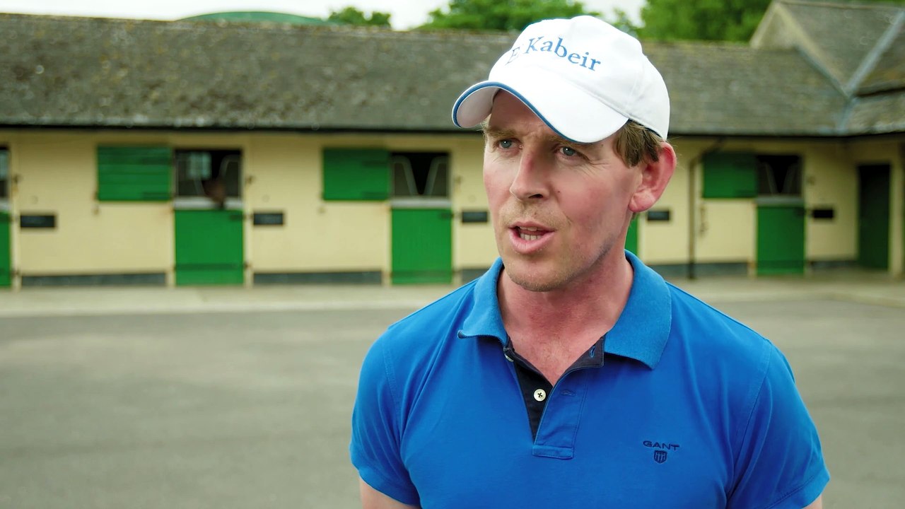 David O' Callaghan on Camacho's Recent Sire Successes