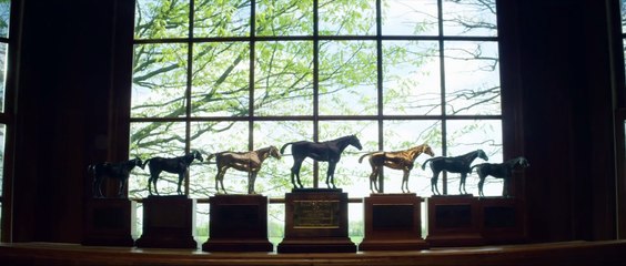 Lane's End-This is What We Stand For.2018.