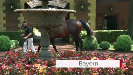 John Sikura on Bayern's First-Crop Yearlings