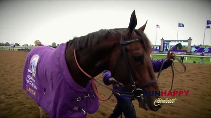 Runhappy Sunrise 10 Seconds