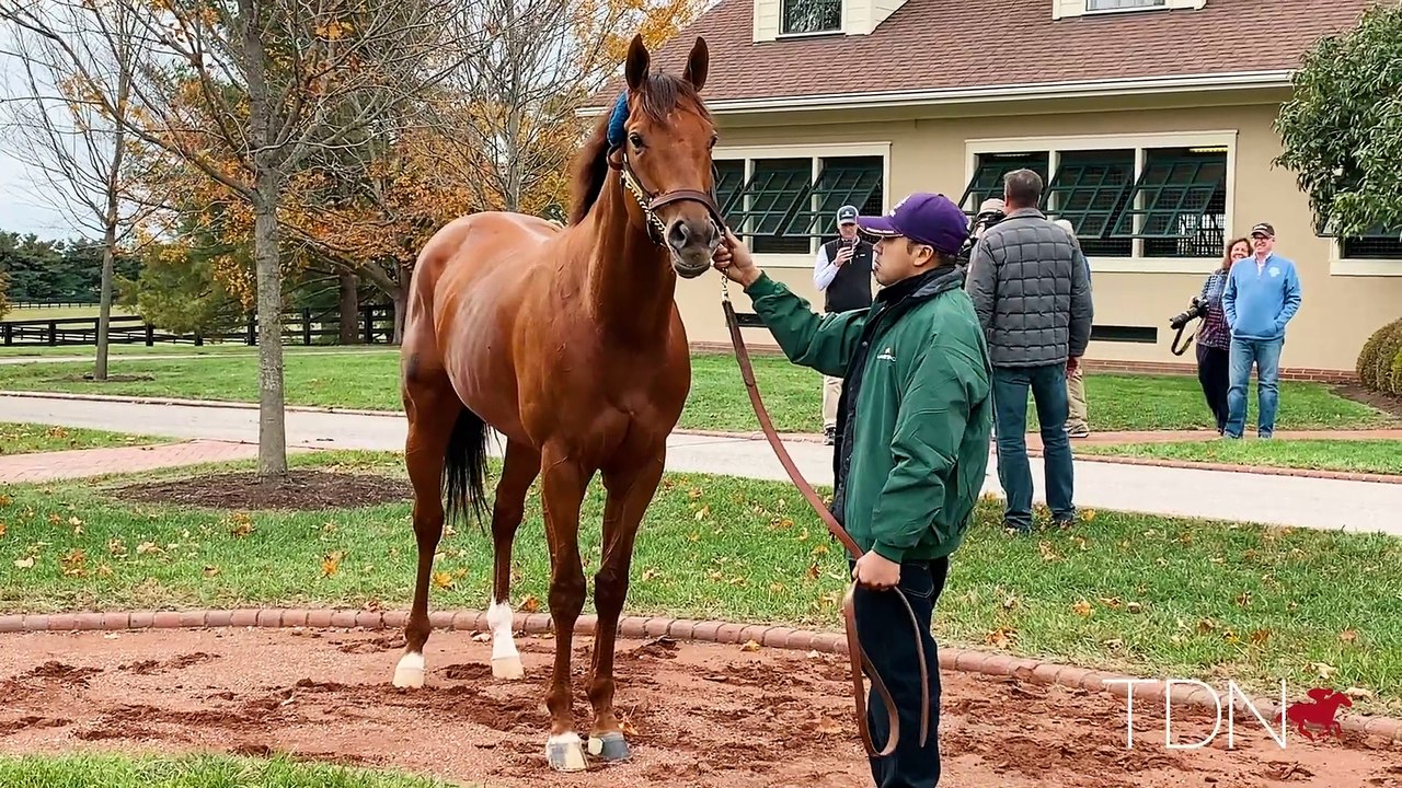 Accelerate, West Coast Arrive at Lanes End