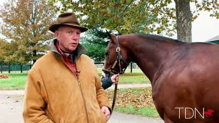 Headley Bell on the new stallion at Mill Ridge: Oscar Performance