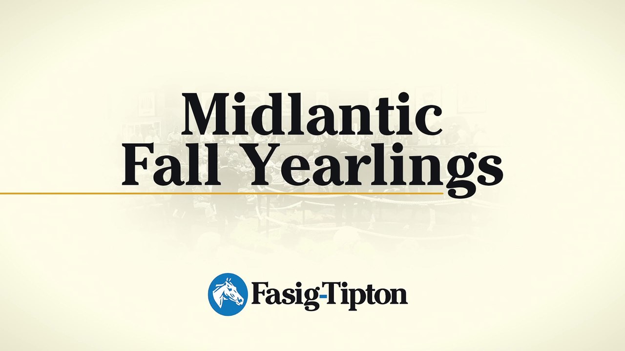 Midlantic Fall Yearlings 2018
