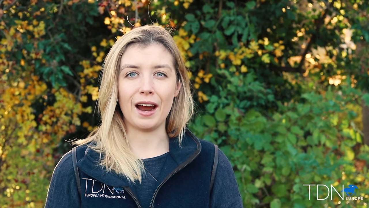 Kirsten Rausing on Lanwades Stud