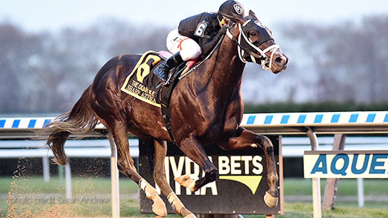 Sharp Azteca and Funtastic: Two New GI winners at Three Chimneys
