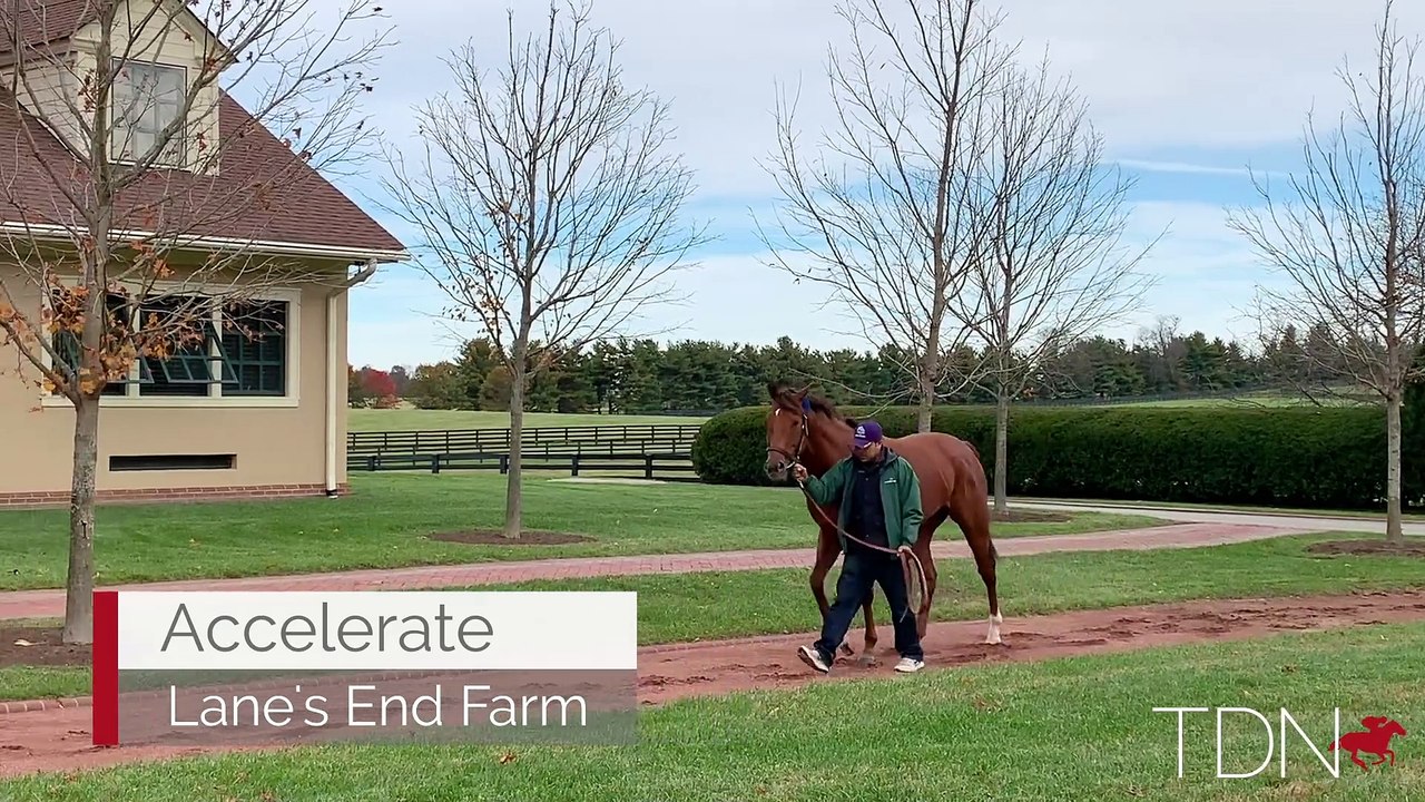 Accelerate