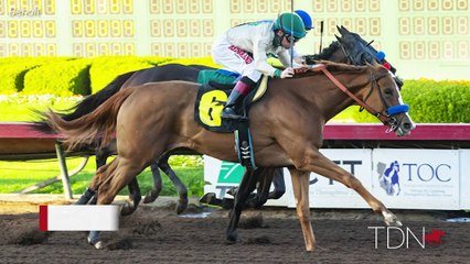 Jane Lyon, Summer Wind Farm and her Triple Crown Connection