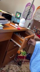 President Tinubu Suspend River State Governor, Fubara and his deputy for six months: