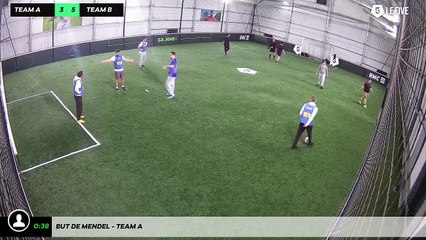 But de Mendel - Team A