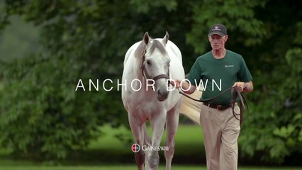Anchor Down, at Gainesway