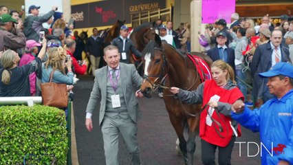 Relive Pegasus World Cup Day