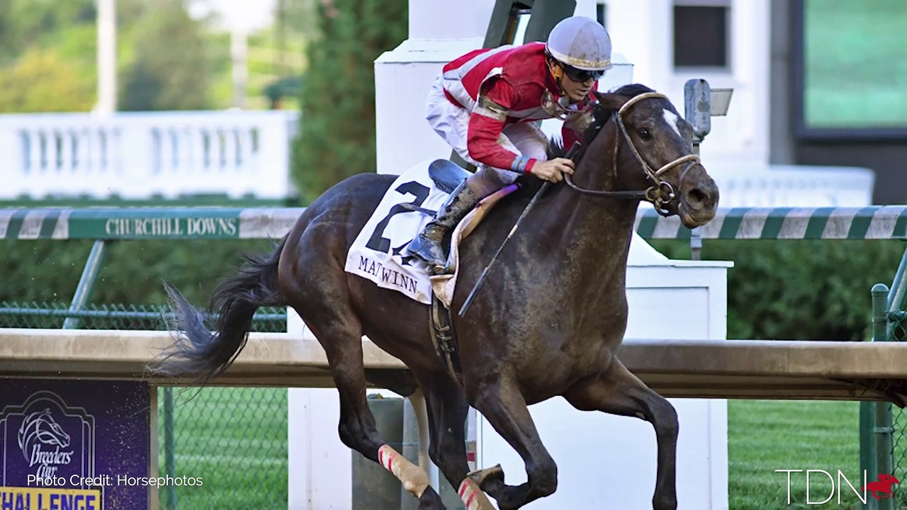 McCraken: New to Airdrie Stud