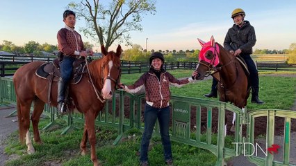 Rescued Horse Helps Master Fencer in His Triple Crown Quest