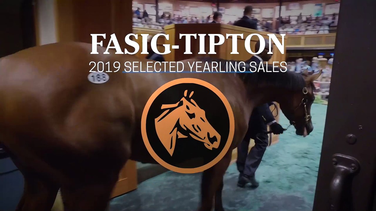 Fasig-Tipton 2019 Selected Yearling Sales