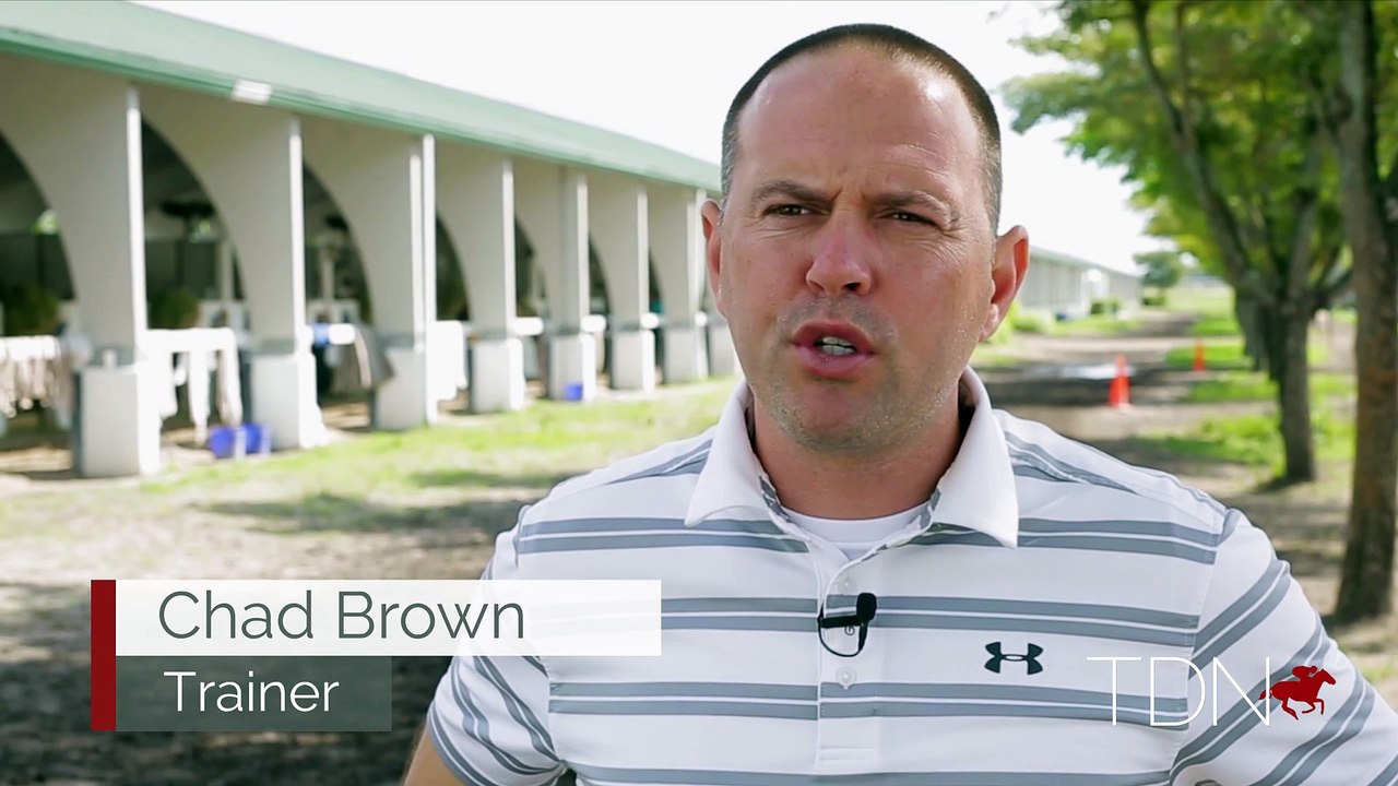 Chad Brown Talks Newspaperofrecord