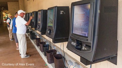 TIF: Embracing a Future with Free Racing Data