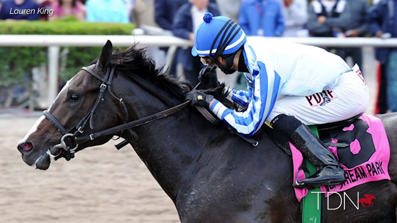 First Yearlings for Upstart at Fasig July