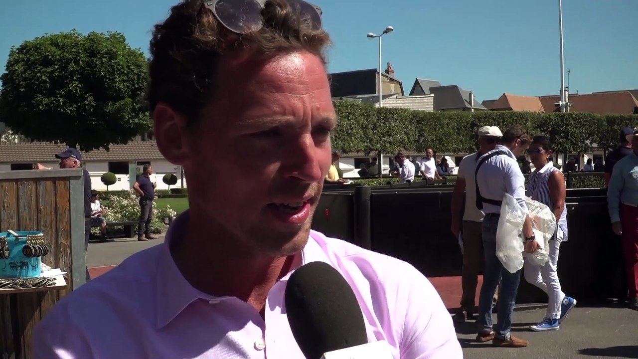 Arqana Summer Sale Review