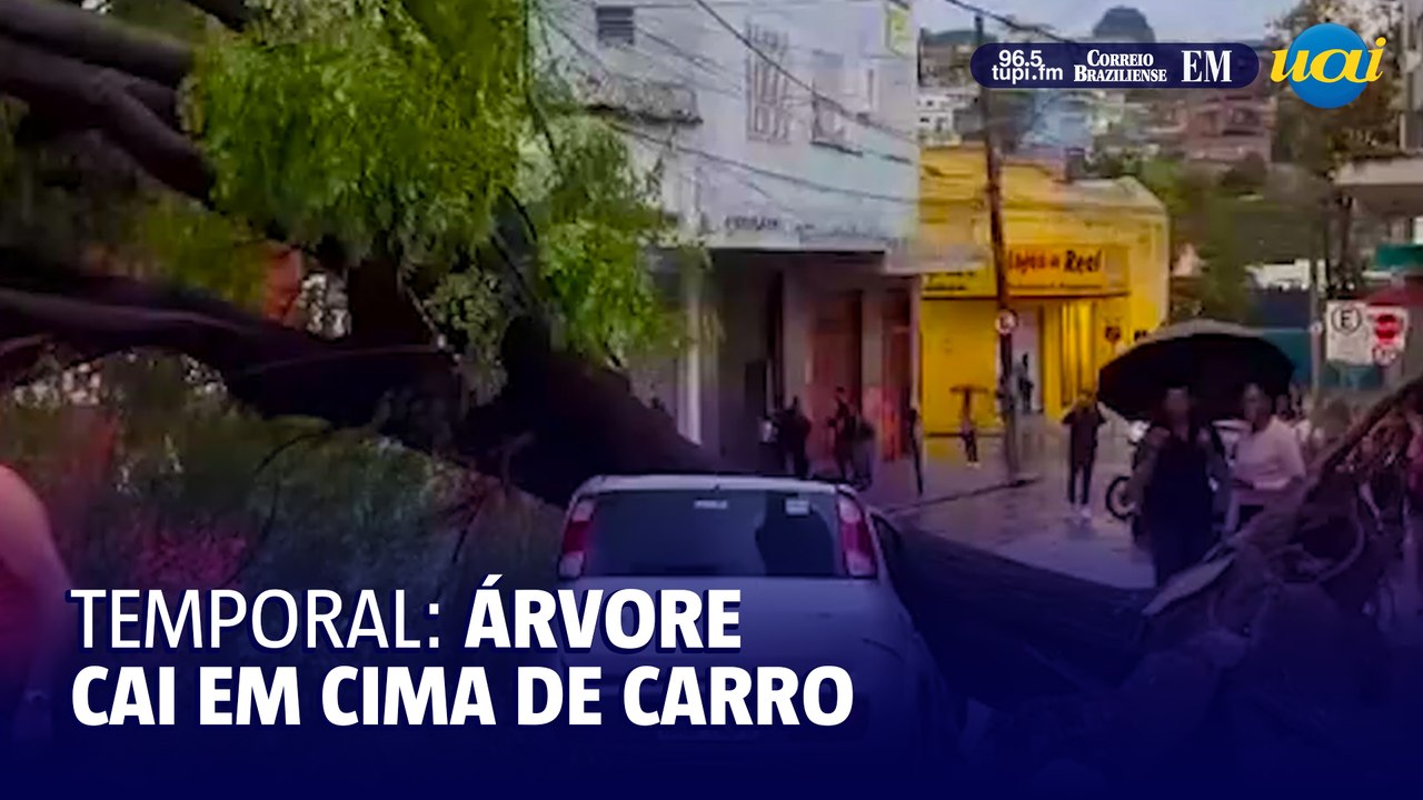 Árvore cai em cima de carro durante temporal em BH