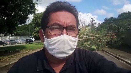 b'81rvore cai fechando rua na grande Bela9m'