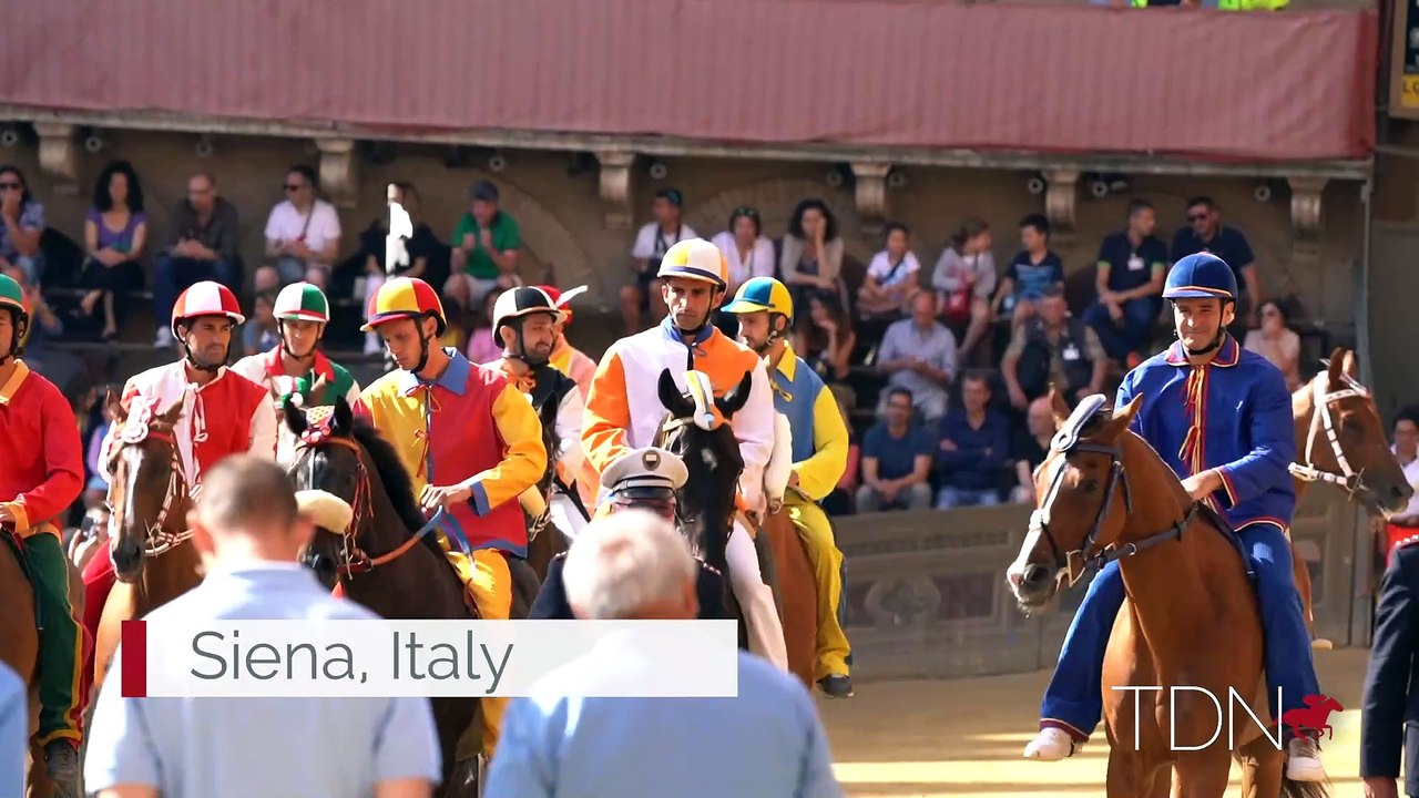 Palio Excerpt from the TDN