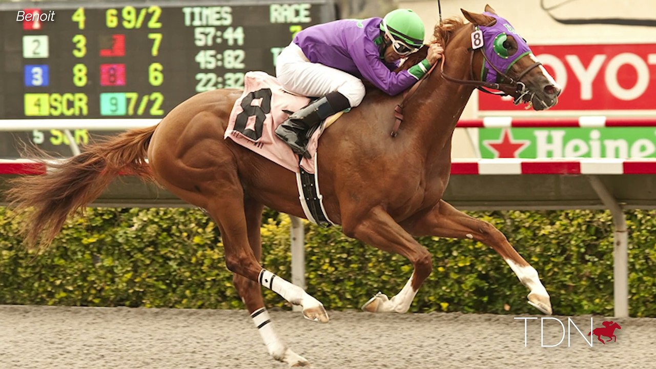 California Chrome: First Yearlings to Sell in July