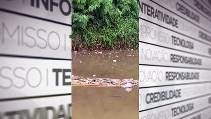 b'Corpo a9 encontrado rodeado por jacara9s'