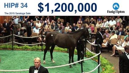 The Stars of the Saratoga Sale? Kentucky Breds.