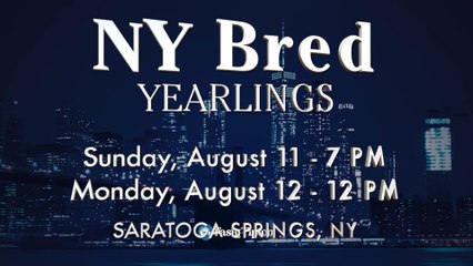 The Fasig-Tipton New York Bred Sale