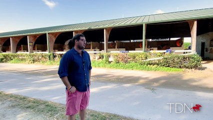 Chance It Looks to Fountain of Youth