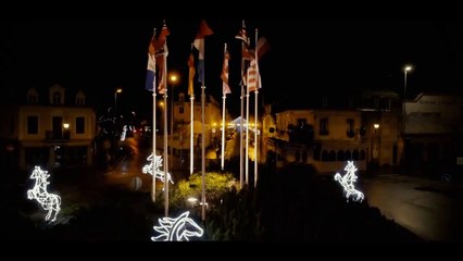 Arqana Breeding Stock Sale, Dec. 7 to 10