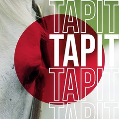 Gainesway-Tapit. 2020.