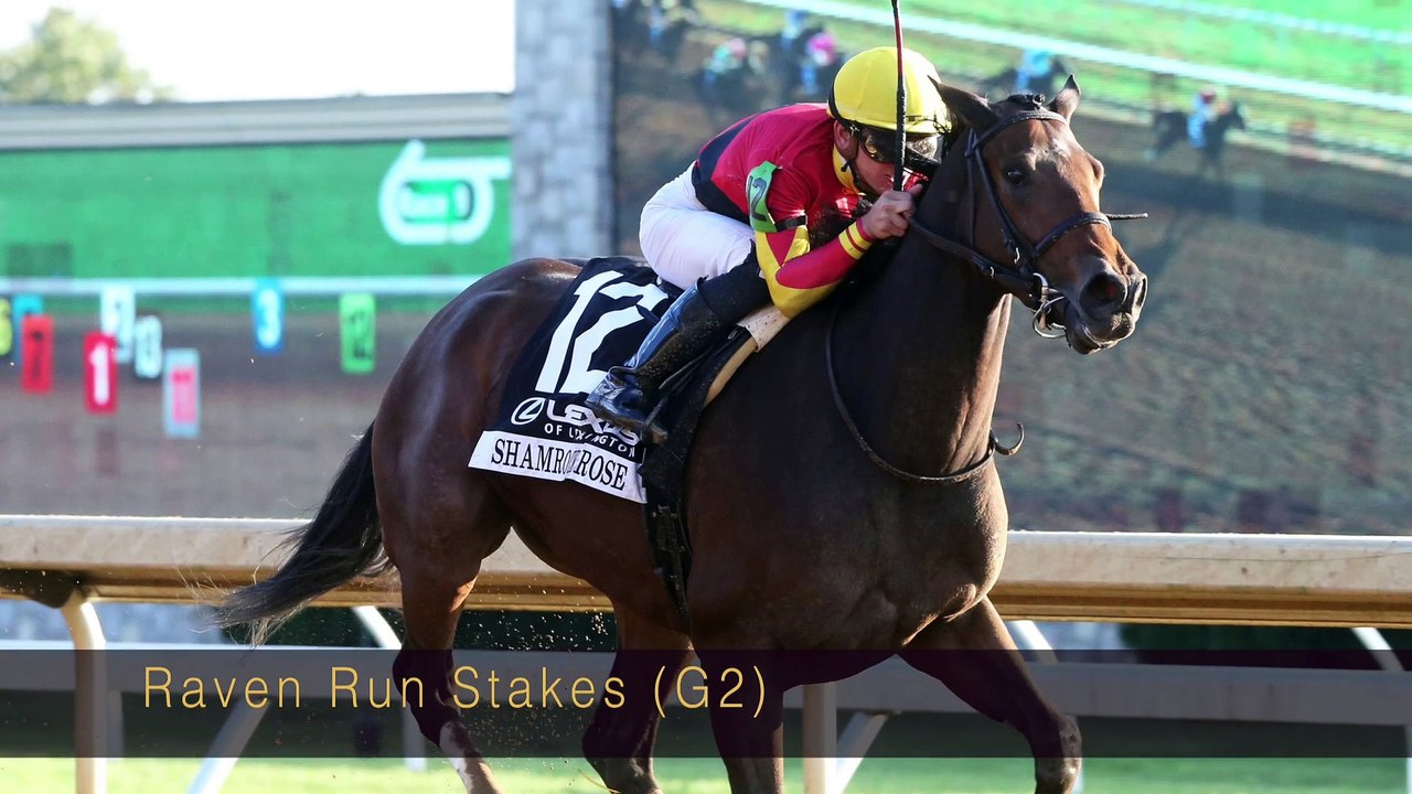 Shamrock Rose: Selling at Fasig Tipton November