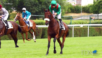 Zarak And His First Foals