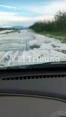 FUERTE TEMPORAL DE GRANIZO EN LA VIÑA