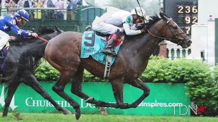 TDN New Stallions: Yoshida, at WinStar