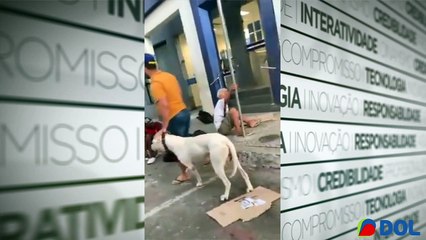 b'Homem com pitbull agride idoso na porta de banco em Teb3filo Otoni'