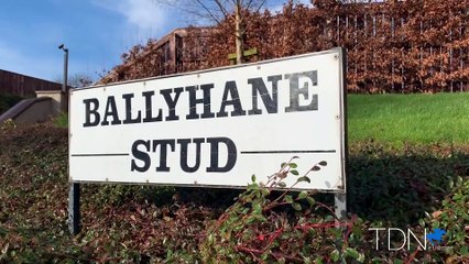 Soldier's Call joins Ballyhane Stud