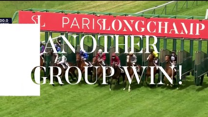 Arqana Breeze Up Sale