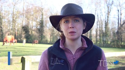 Julia Feilden On Life in a British Yard During the Virus