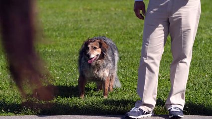 Fasig-Tipton 2020: Boyd Browning