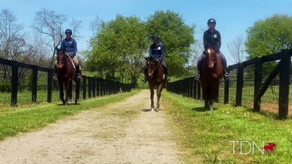 Learn More About New Vocations