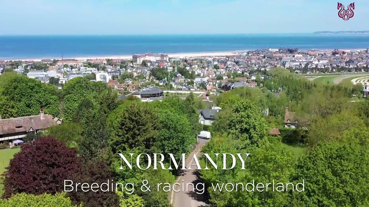 Deauville Select Sale 2020