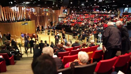 Deauville Select Sale 2020