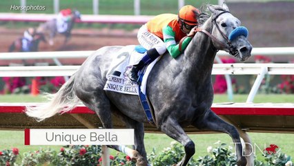 Unique Bella Full Sister at Timber Town Stables