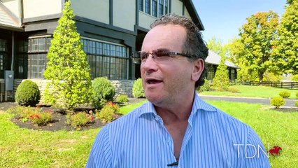 The Hill 'n' Dale Stallions Arrive at Xalapa