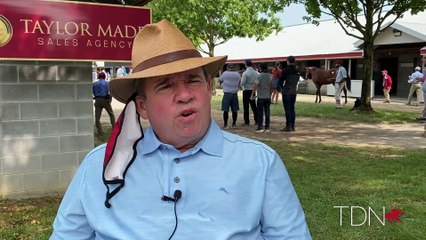 Taylor Made Stallions On The Rise